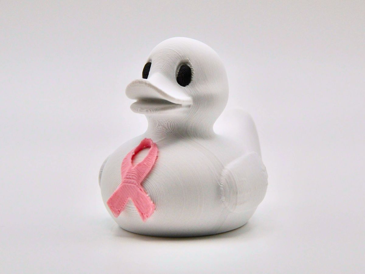 Breast Cancers Awareness Jeep Duck