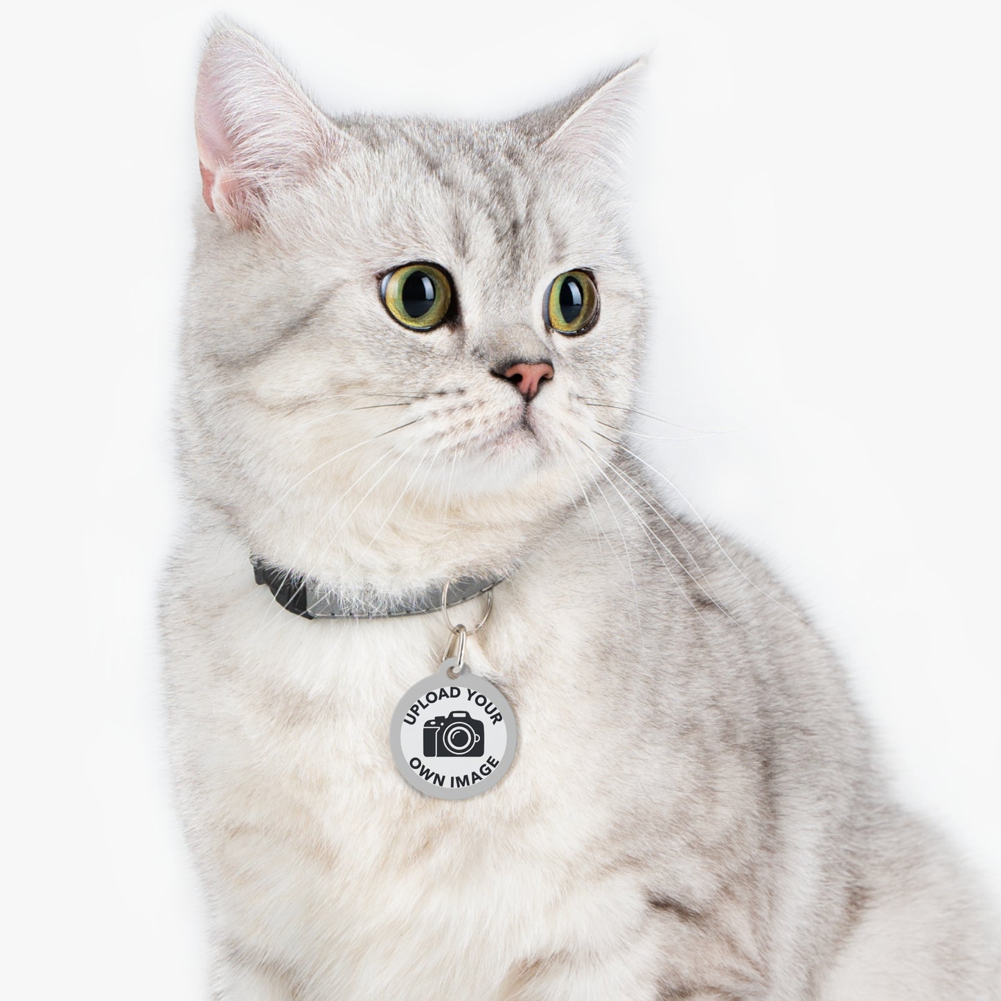 Personalizable Metal Pet ID Tag — Upload an Image and Write Custom Contact Details