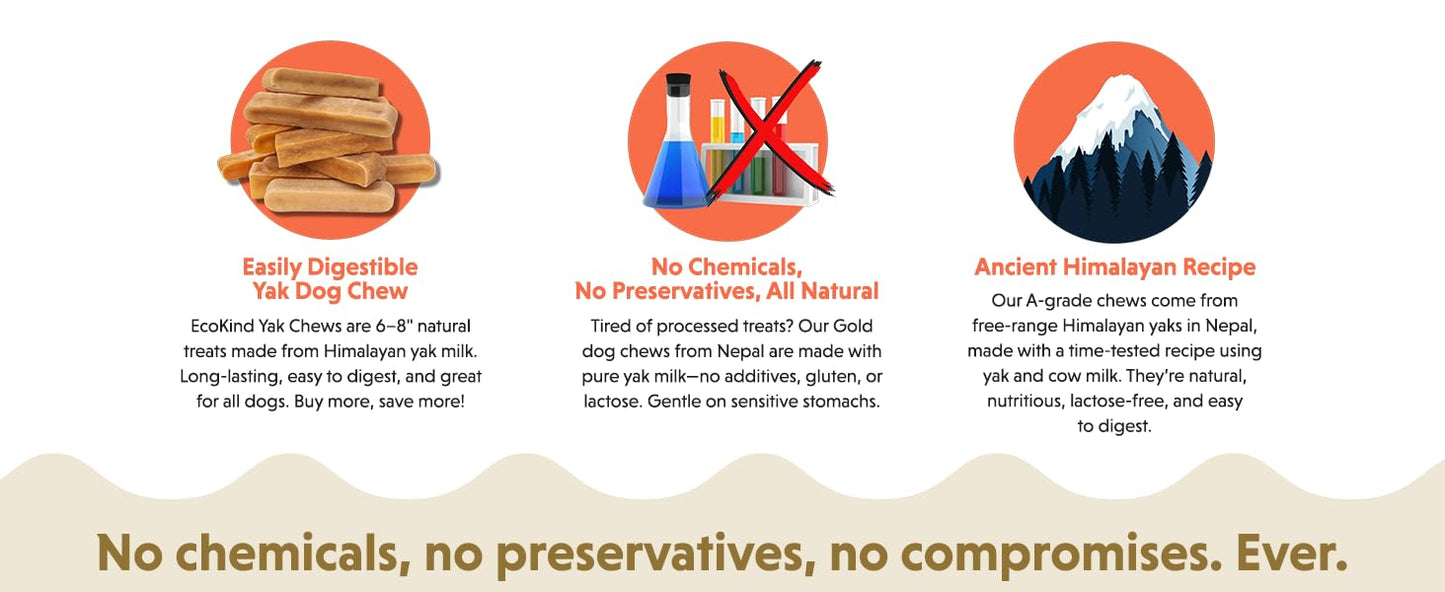 Advertisement for eco-friendly dog chews with text and icons on a white background