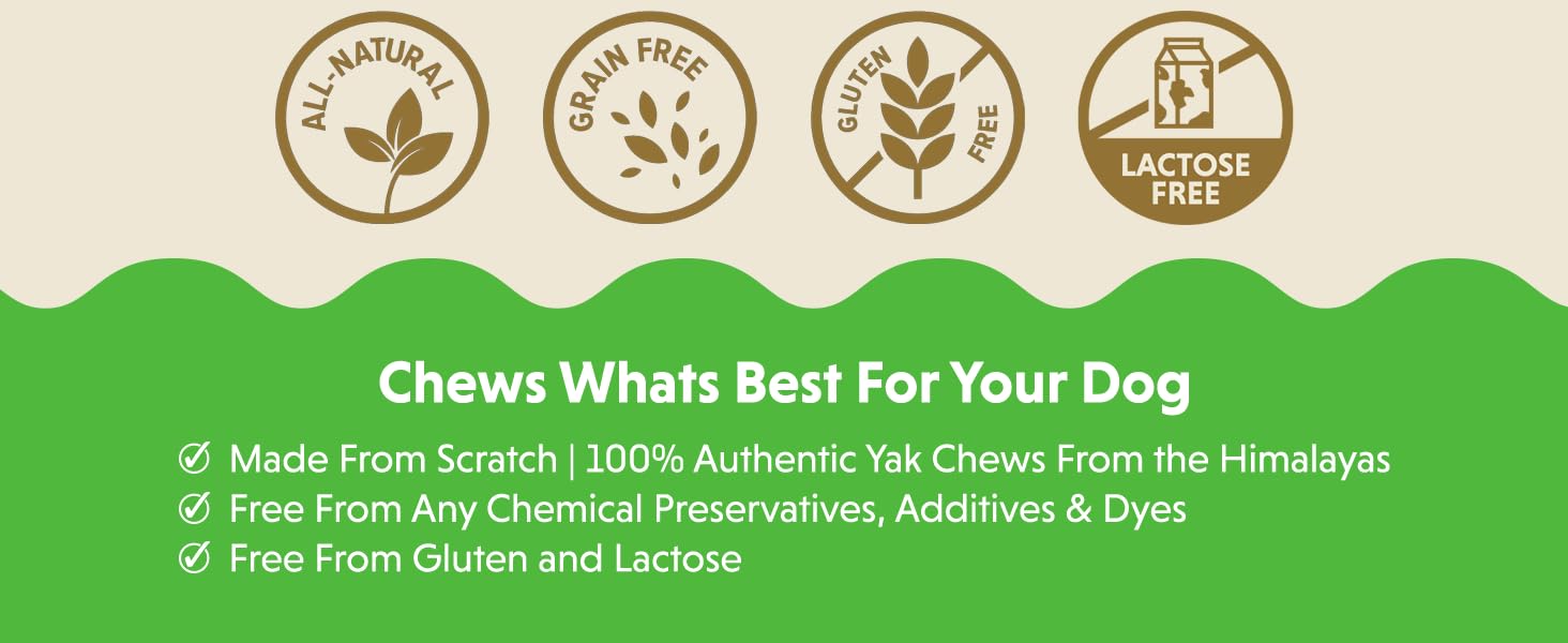 Product label with various dietary free icons and text about dog chews on a green and beige background.