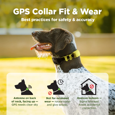 Dogtra No-Subscription GPS Dog Fence - Static Shock & Pager Training Collar, Phone-Connected, Bluetooth-Enabled, App-Control, 3/4 Acre Minimum Coverage Wireless Boundary System for Large Properties & Camping
