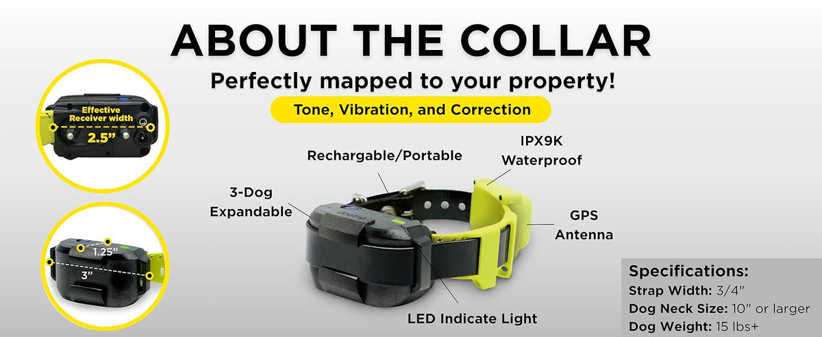 Dog collar with features highlighted on a white background
