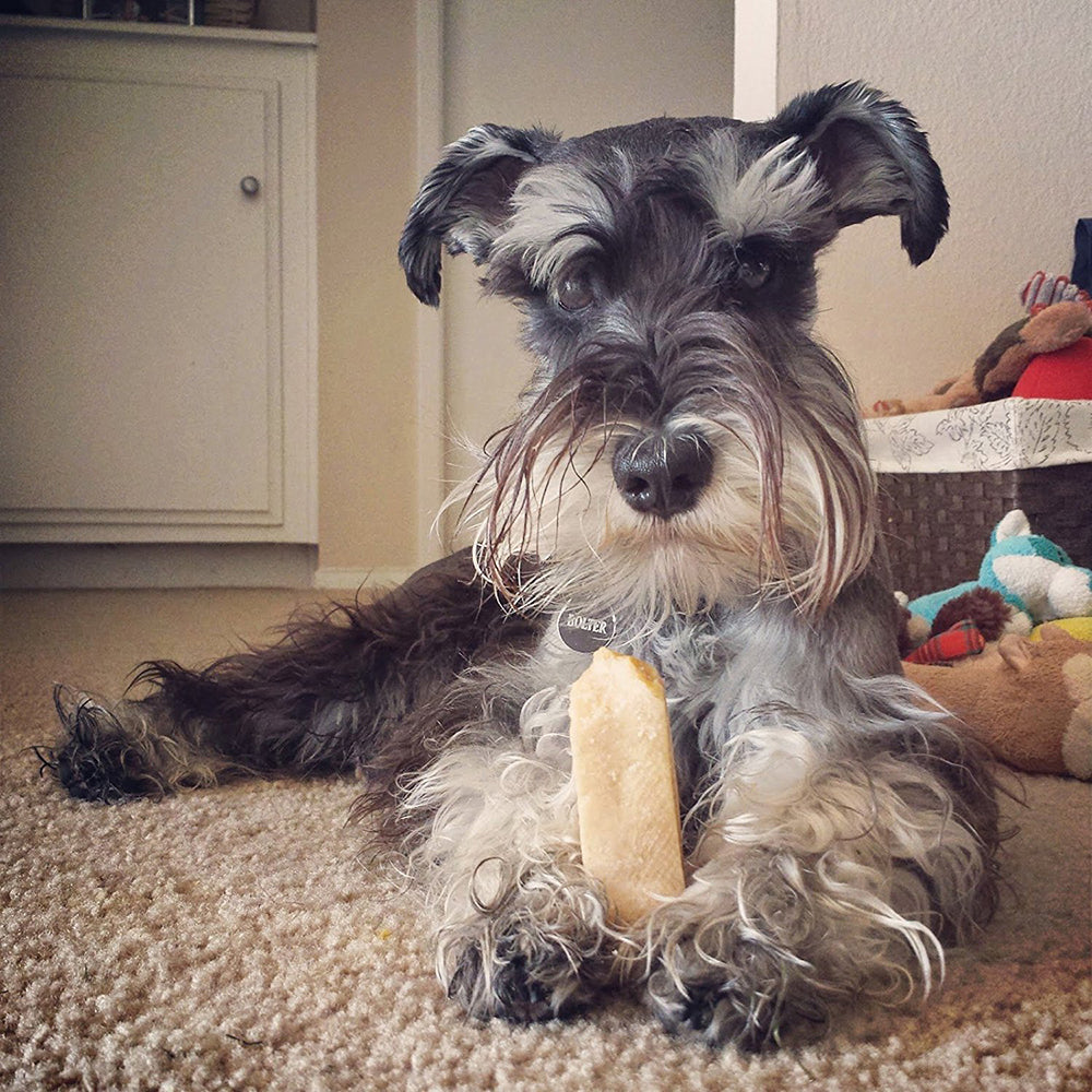 TrendyTailz natural dog chew styled in eco-conscious home setting