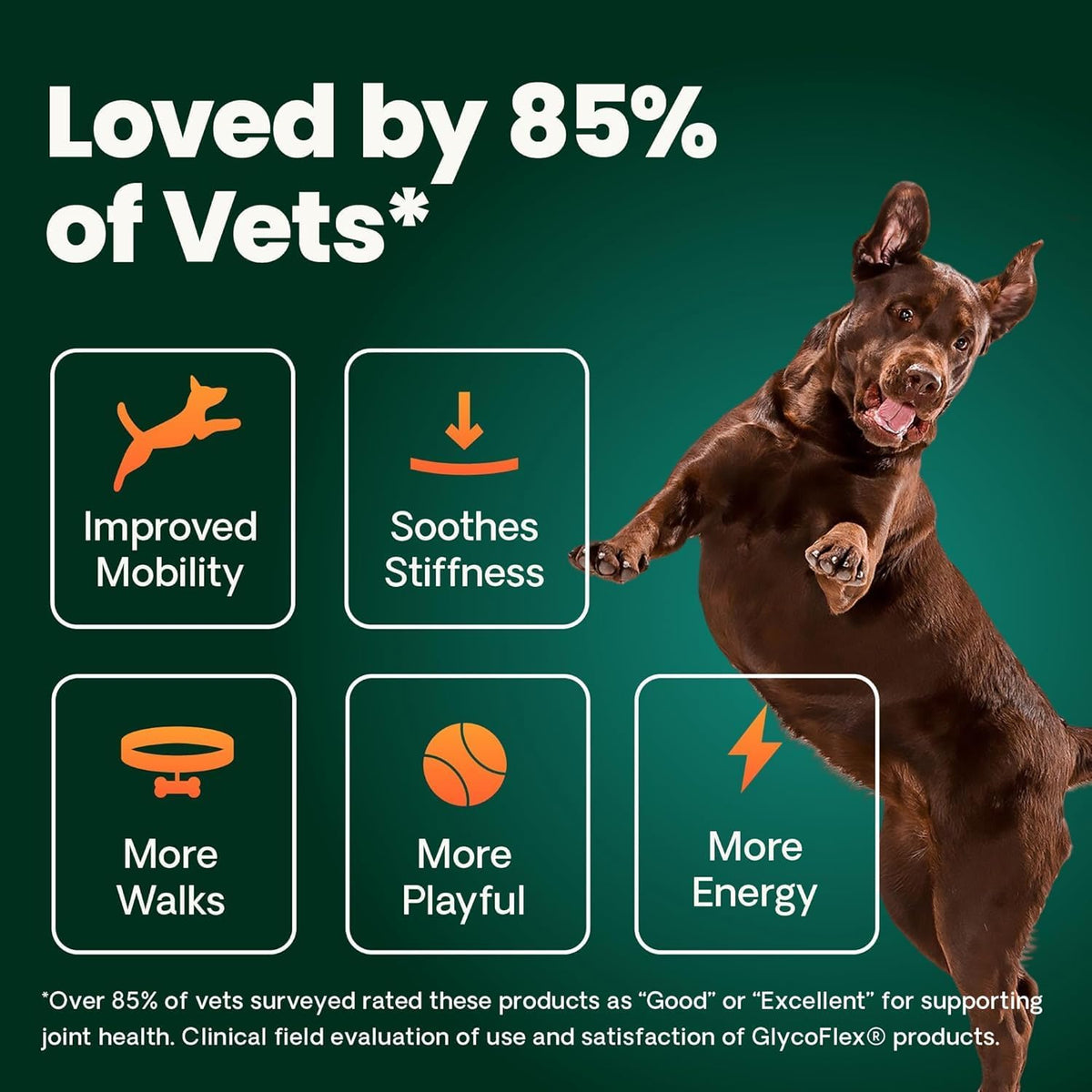 VetriScience GlycoFlex Plus Ultimate Strength Hip & Joint Supplement for Dogs