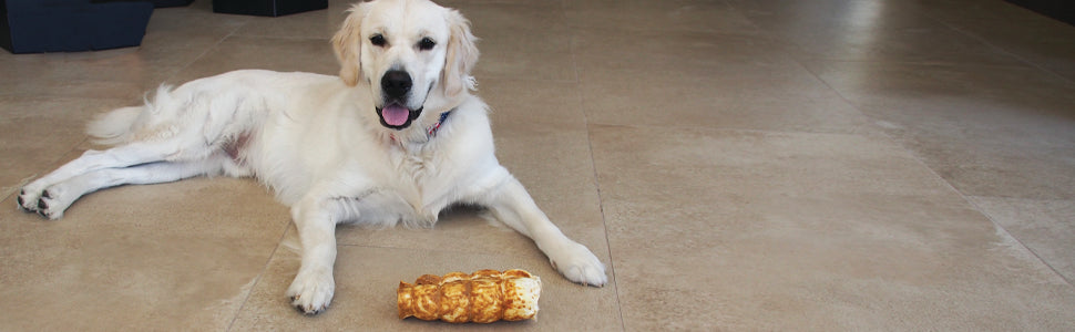 Dog lying on a tiled floor with a bone-shaped chew toy