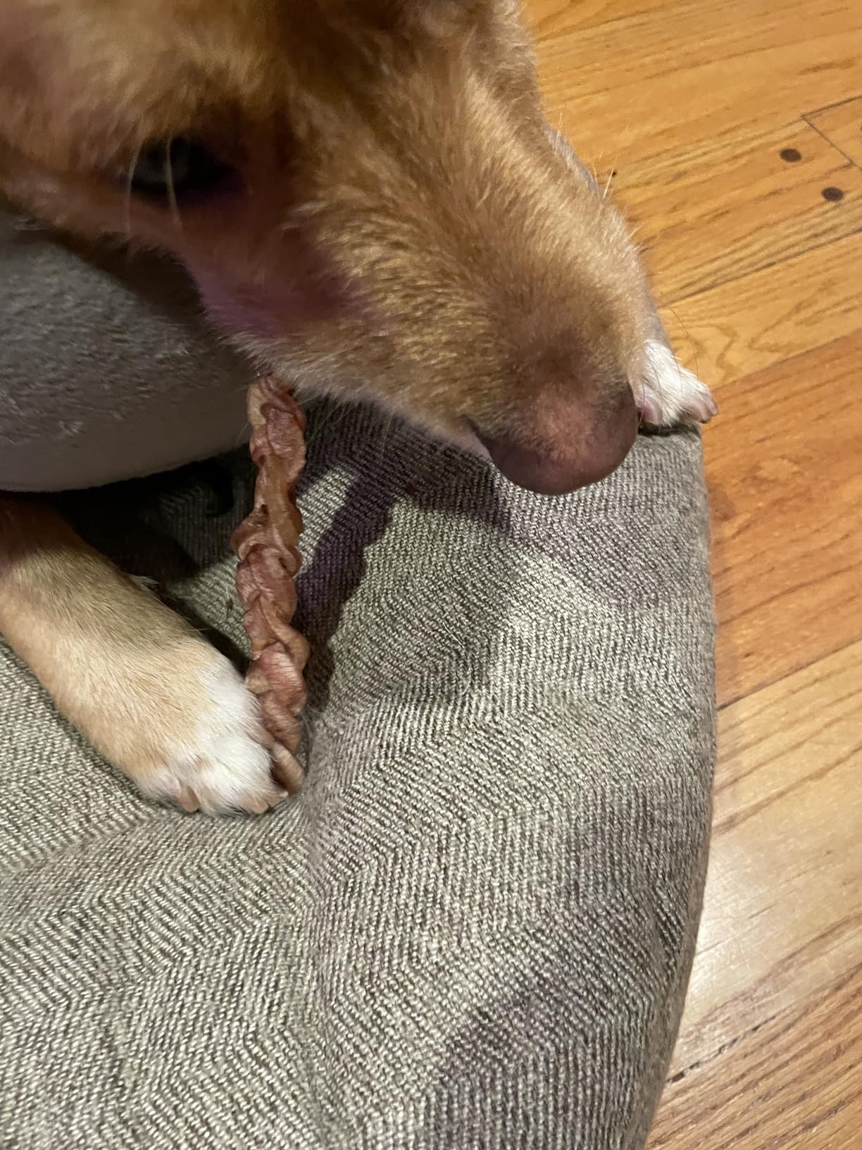 All-Natural 6” Braided Bully Sticks – Healthy, Rawhide-Free Dog Chews