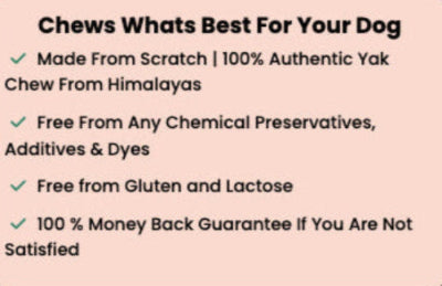 Product description text for dog chews on a pink background