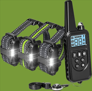 PawWise E-Collar with Remote for Training