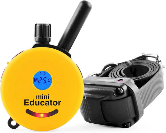 How Safe Is The Mini Educator E Collar for Dogs?