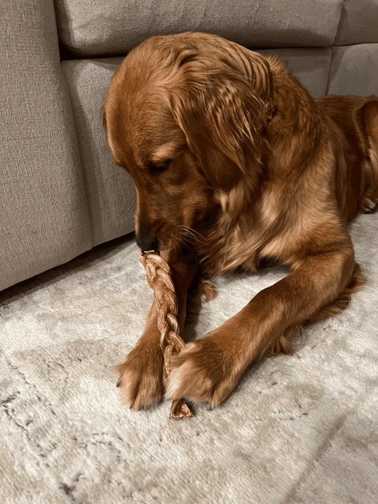 6” Braided Bully Sticks