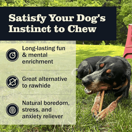 Healthy Bully Sticks for Happy Dogs