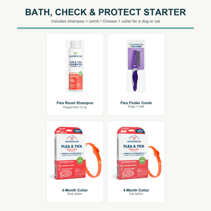 Bath, Check & Protect Starter