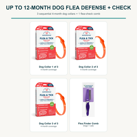 Up to 12-Month Dog Flea Defense + Check