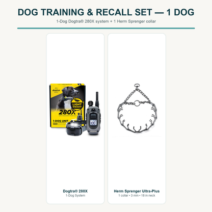 Dog Training & Recall Set — 1 Dog