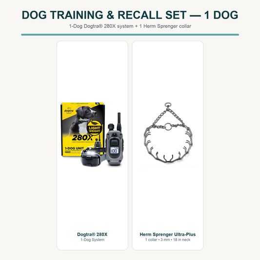 Dog Training & Recall Set — 1 Dog