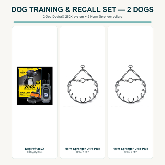 Dog Training & Recall Set — 2 Dogs