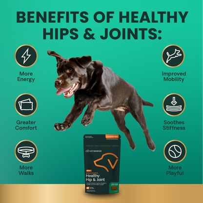 VetriScience® Ultimate Strength Hip & Joint Chews | Duck, 60 Count