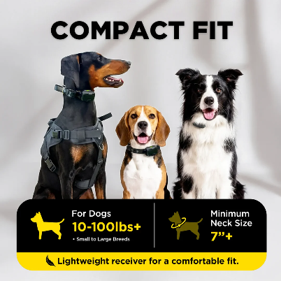 Dogtra® 280X Remote Dog Training Collar | ½-Mile Range | Waterproof | Rechargeable | 1-Dog & 2-Dog Systems