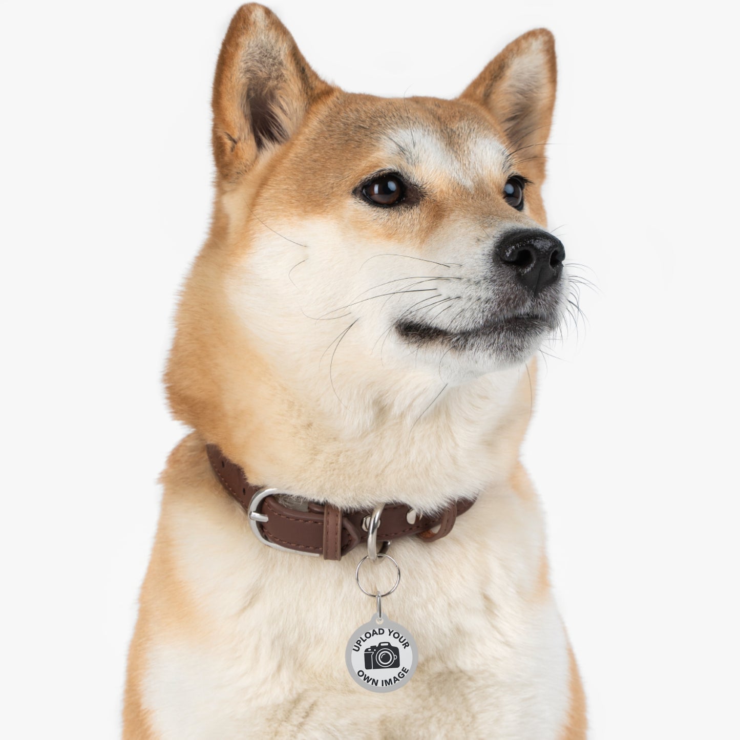 Personalizable Metal Pet ID Tag — Upload an Image and Write Custom Contact Details