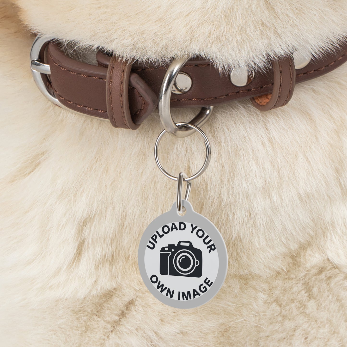 Personalizable Metal Pet ID Tag — Upload an Image and Write Custom Contact Details