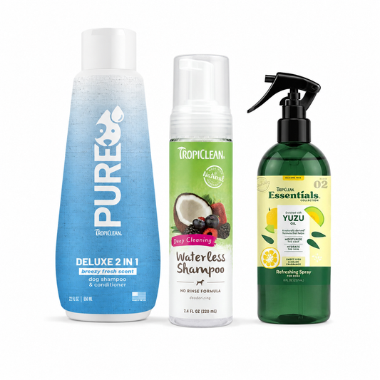 Full Bath + Quick Refresh Trio