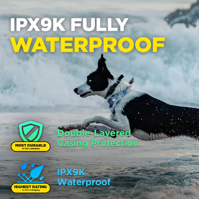 Dogtra® 280X Remote Dog Training Collar | ½-Mile Range | Waterproof | Rechargeable | 1-Dog & 2-Dog Systems