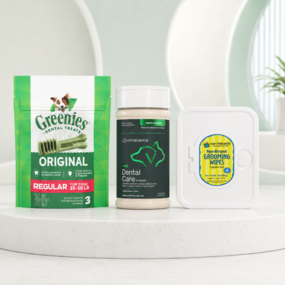 Dental Care Plus