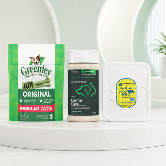 Dental Care Plus