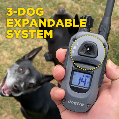 Dogtra® 280X Remote Dog Training Collar | ½-Mile Range | Waterproof | Rechargeable | 1-Dog & 2-Dog Systems