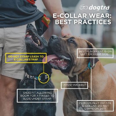 Dogtra® 280X Remote Dog Training Collar | ½-Mile Range | Waterproof | Rechargeable | 1-Dog & 2-Dog Systems