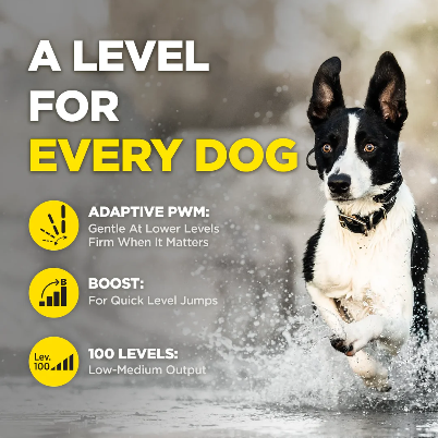Dogtra® 280X Remote Dog Training Collar | ½-Mile Range | Waterproof | Rechargeable | 1-Dog & 2-Dog Systems