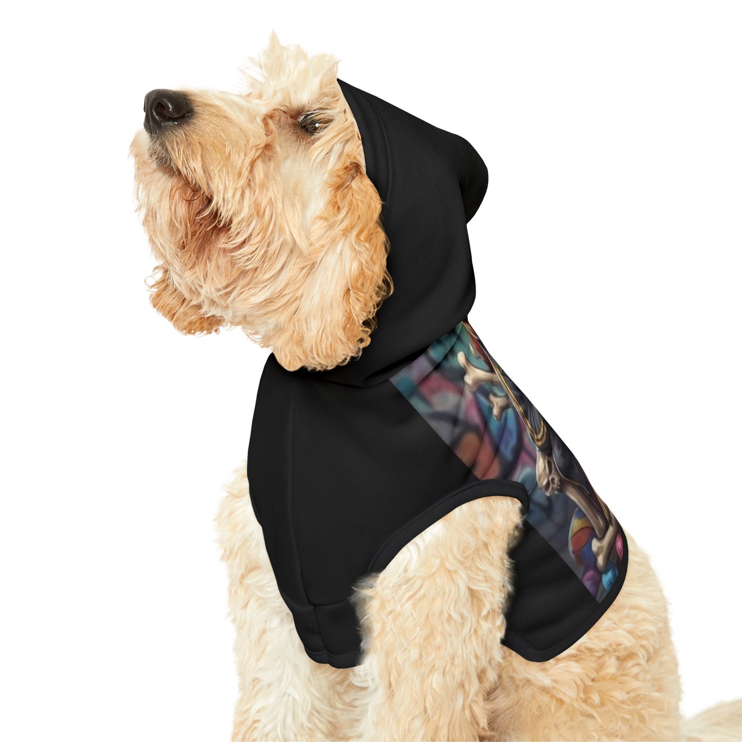 Dog wearing a black hoodie with colorful mesh panels on a white background