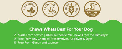 Himalayan Gold Yak Dog Chews: The Long-Lasting, All-Natural Chew for Dental Health