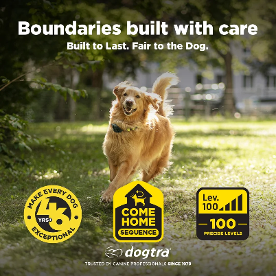 Dogtra No-Subscription GPS Dog Fence - Static Shock & Pager Training Collar, Phone-Connected, Bluetooth-Enabled, App-Control, 3/4 Acre Minimum Coverage Wireless Boundary System for Large Properties & Camping