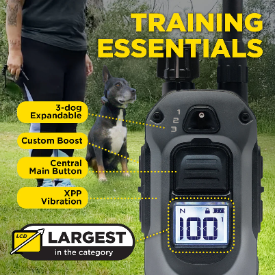 A dog training remote control shown in a close-up on the right, with a person and dog visible on the left in an outdoor grassy setting. Large text reads 'TRAINING ESSENTIALS,' with callout labels pointing to features like 3-dog expandable, custom boost, central main button, and XPP vibration.