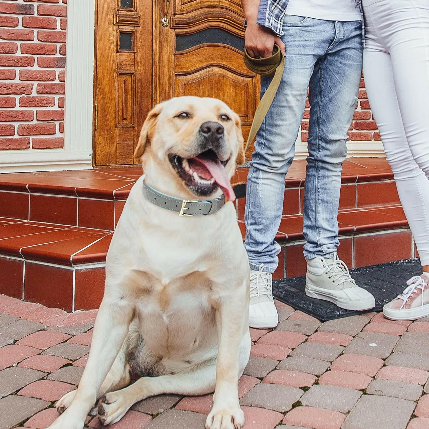 Classic Leather Universal Dog Collar.