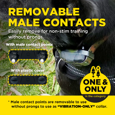 Dogtra® 280X Remote Dog Training Collar | ½-Mile Range | Waterproof | Rechargeable | 1-Dog & 2-Dog Systems