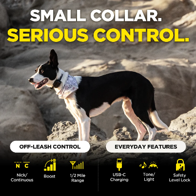 Dogtra® 280X Remote Dog Training Collar | ½-Mile Range | Waterproof | Rechargeable | 1-Dog & 2-Dog Systems