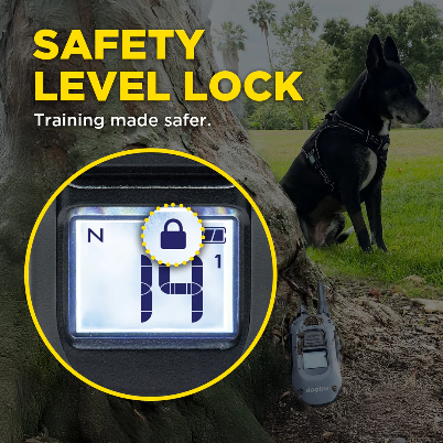 Dogtra® 280X Remote Dog Training Collar | ½-Mile Range | Waterproof | Rechargeable | 1-Dog & 2-Dog Systems