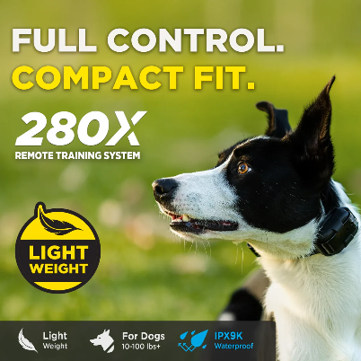 Dogtra® 280X Remote Dog Training Collar | ½-Mile Range | Waterproof | Rechargeable | 1-Dog & 2-Dog Systems