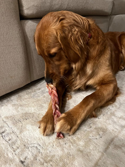 All-Natural 6” Braided Bully Sticks – Healthy, Rawhide-Free Dog Chews