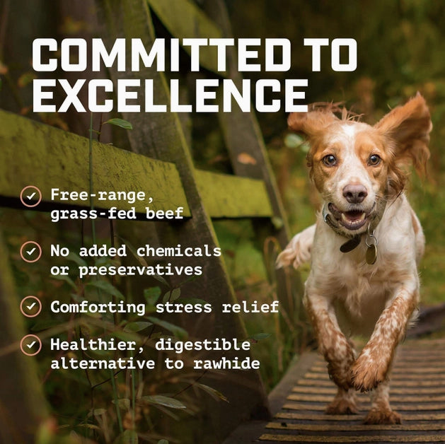 All-Natural 6” Braided Beef Bully Sticks – Healthy, Rawhide-Free Dog Chews