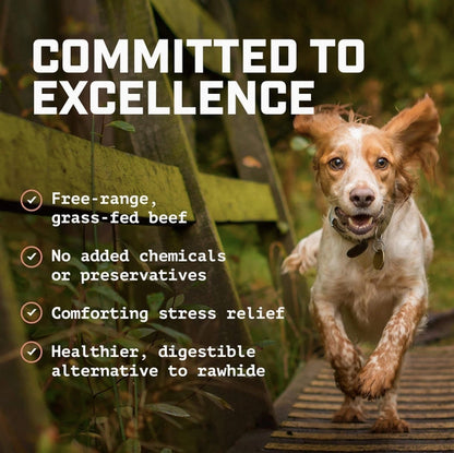 All-Natural 6” Braided Beef Bully Sticks – Healthy, Rawhide-Free Dog Chews