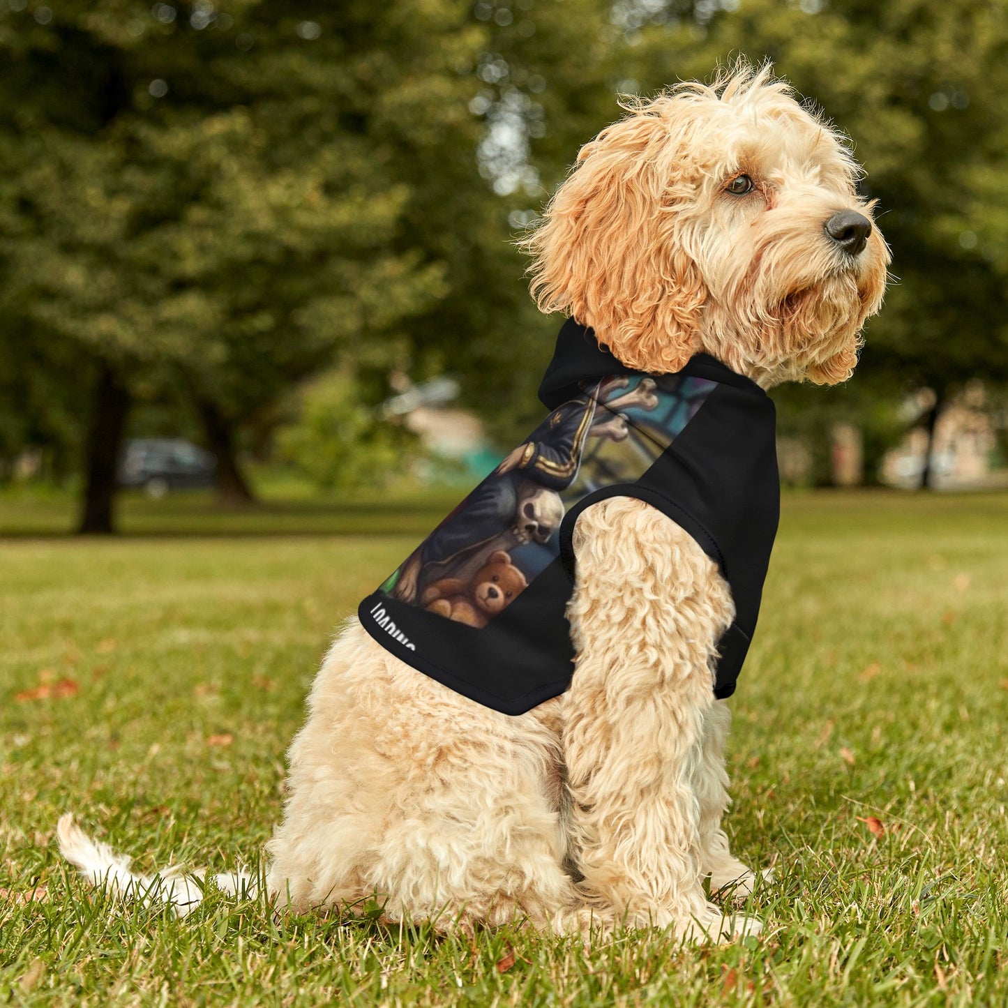 Dog wearing a black hoodie with a graphic design, sitting on grass in a park.
