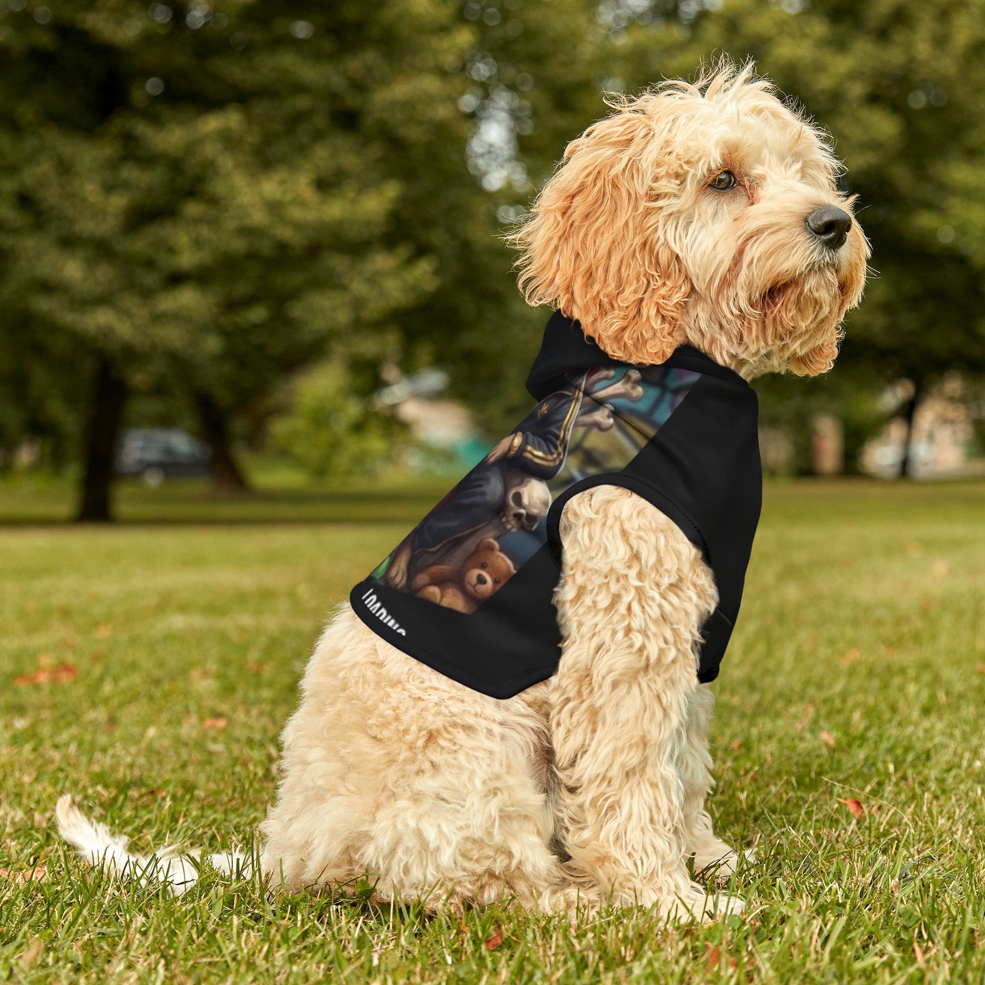 Dog wearing a black hoodie with a graphic design, sitting on grass in a park.