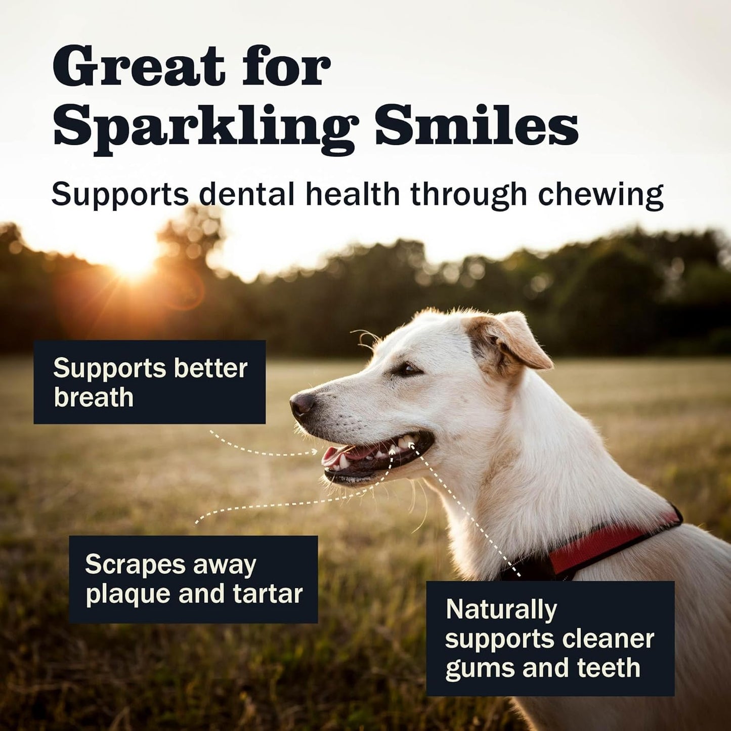 Redbarn Pet Products Bully Skin Sticks Beef Dog Treat – 8 oz Bag