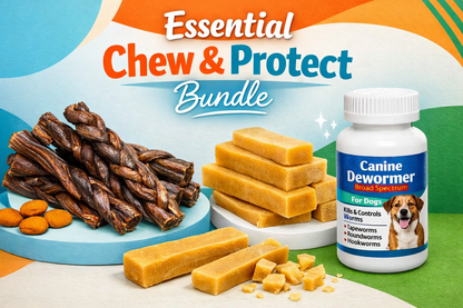 Essential Chew & Protect Bundle