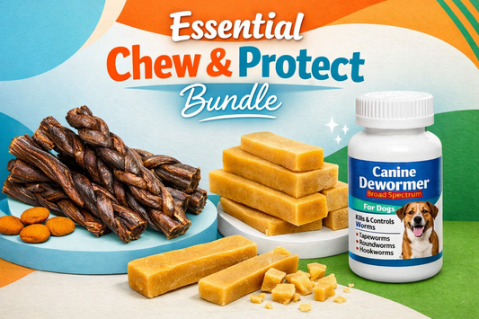 Essential Chew & Protect Bundle