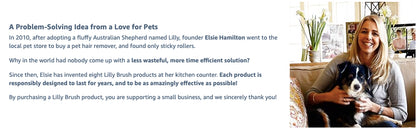 Lilly Brush Mini Pet Hair Detailer | Reusable Fur Remover for Car Interior, Carpet, Couch & Furniture
