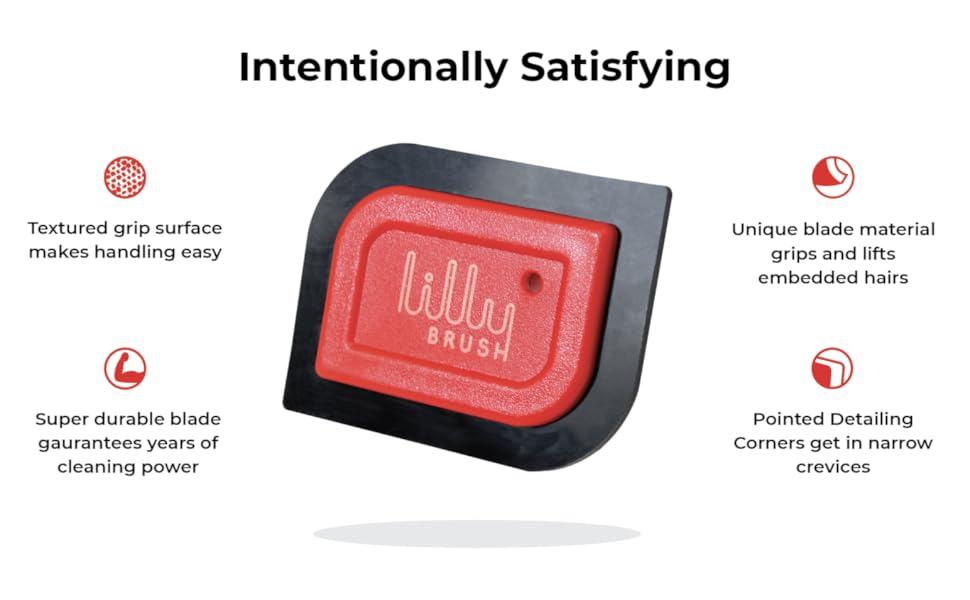 Lilly Brush Mini Pet Hair Detailer | Reusable Fur Remover for Car Interior, Carpet, Couch & Furniture